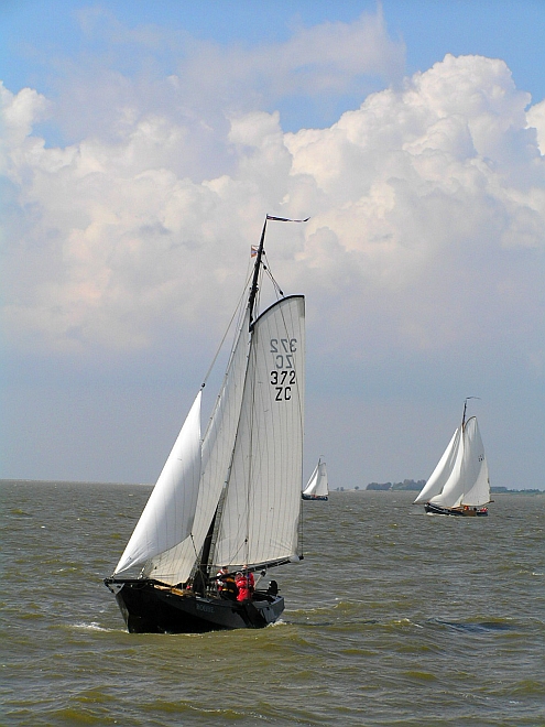 Lemsteraak_Ahoy2008 (65).jpg